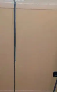 تلویزیون