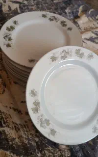 پیش دستی