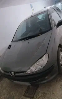 پژو 206نوک مدادی دور رنگ