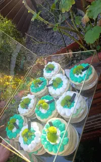 کمک آشپز ایرانی