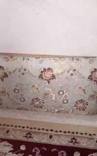 یک جفت پشتی