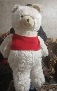 خرس بزرگ