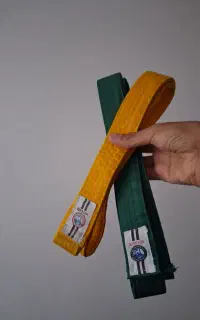 کمر بند تکواندو