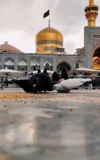 پیش ثبت نام تور ریلی مشهد آذر ماه