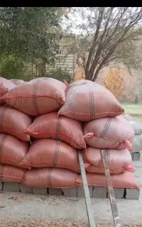 یونجه