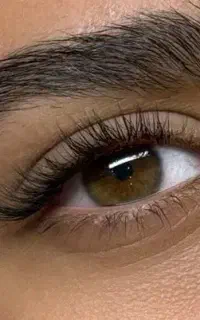 خدمات واموزش اکستنشن مژه