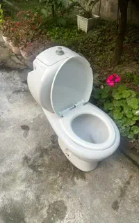 سرویس فرنگی