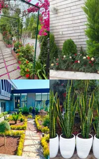 خدمات باغبانی طراحی واجرای فضای سبز تمام نقاط تهرا