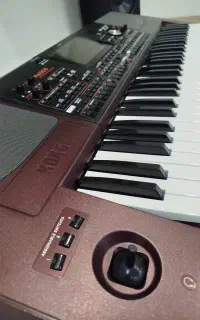 ارگ pa1000 در حد آکبند