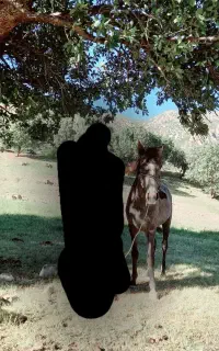 مادیان