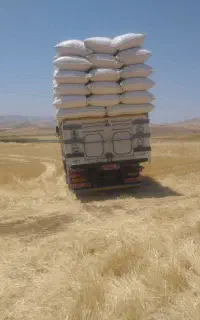 خریدار کاه نخود و گندم
