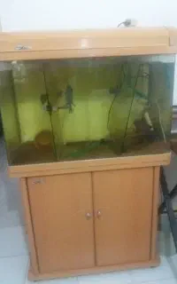 اکواریوم به همراه ماهی و وسایل