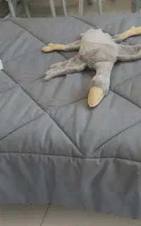 شرکت خدماتی (نظافت منزل)