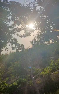 تور چهار روزه شمال باقسط سه ماهه