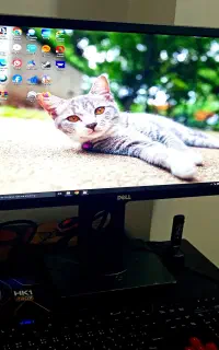 مانیتور فوق حرفه ای کامپیوتر 23 اینچ دل dell