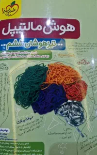 کتاب هوش مالتیپل تیزهوشان ششم انتشارات خیلی سبز