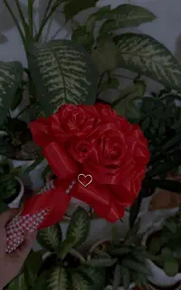 گل های روبانی