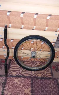 رینگ عقب باجیرجیرک وفرمان