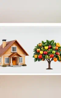 متقاضی سرایداری