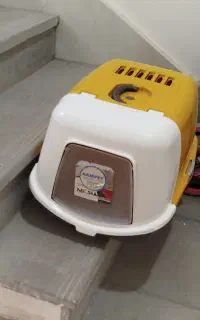 فروش لوازم حیوان خانگی