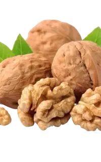 گردوی تویسرکان