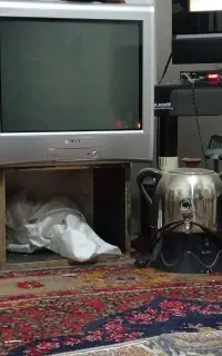 تلویزیون کره سونی اصل