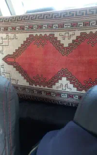 یک جفت پشتی سالم