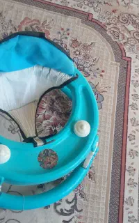 یک عدد رارواک بچه