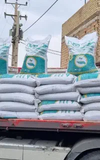 کود سیاه گرانوله