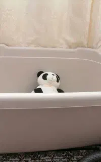 لگن بزرگ