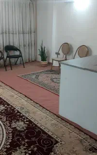 همخانه خانم