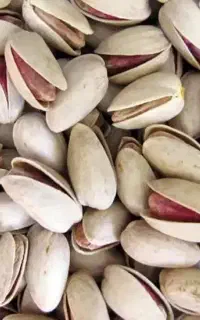 خریدار پسته