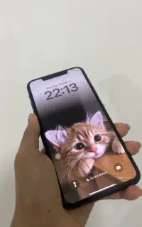 ایفون 11پرومکس همچی فابریک