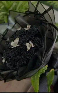 مردانه