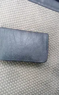 پیدا شده