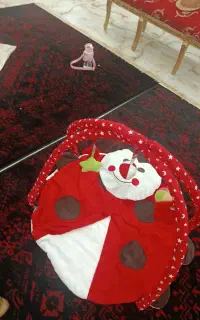 تشک بادی