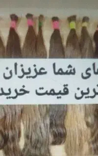 عکس توجه کنید