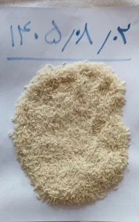 برنج طارم فجر سوزنی  معطر
