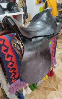 خواهان زین برنو