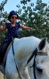 باشگاه سوارکاری ، آموزش سوارکاری آستارا