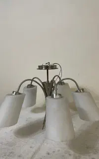 لوستر