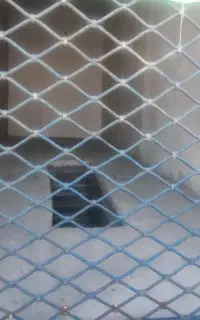 ۵۰مترساحل طلایی مغازه اجاره کد/۳۰۴۲۳