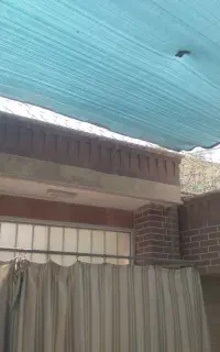 محافظ