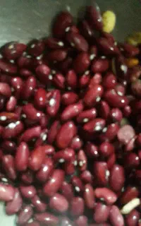 لوبیا تمیز بودجاری شده هر چند کیلو بخای