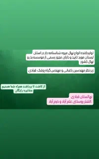 نهالستان قبادی تولید کننده انواع نهال میوه
