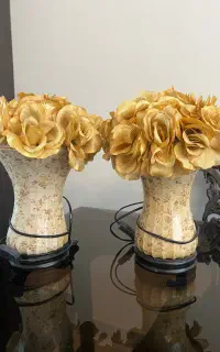 آباژور