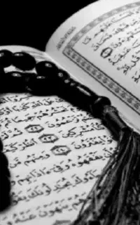 با تفسیر و توضیح کامل انواع فال با قران و تاروت