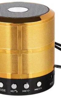 ws887mini اسپیکر مدل وستر