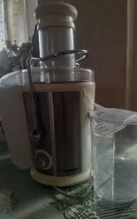ابمیوه گیری ریچموند