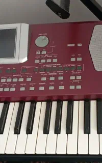 korg pa800